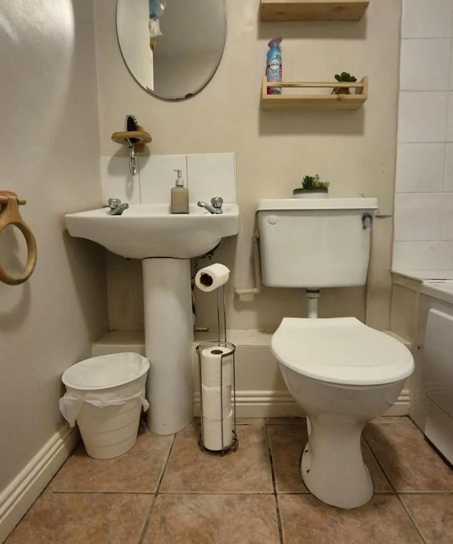 Temple Bar Apt & Rooms Dublin Apartment